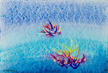Sea flowers, 1989

Acryl auf Papier, 16 x 24 cm, gerahmt
signiert und datiert

Ausrufpreis: 350,-