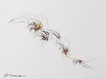 Winter flowers,  1978

Acryl auf Papier, 30 x 40 cm, gerahmt
signiert

Ausrufpreis: 750,-