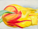 Gelbrote Tulpe, 2015

Öl auf Leinwand, 50 x 65 cm
rückseitig signiert und datiert

Ausrufpreis: 1800,-