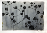 O.T., 2009

Aquarell, japanische Tusche, Kreide auf Papier, 10,5 x 15 cm, gerahmt
signiert und datiert

AUSRUFPREIS: 450.-