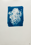 Rana Pipa - der Keim der Dinge #15, 2023

Direktbelichtung von Seifenblasenschaum / Cyanotypie auf Baumwoll-Bütte, ca. 37,5 x 26 cm, gerahmt
gestempelt, rückseitig signiert und beschriftet

Ausrufpreis: 250,-