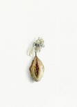 Passionsblume, 2019

Aquarellfarbe und Bleistift auf Papier, 26,9 x 19 cm, gerahmt mit Museumsglas
rückseitig signiert

Ausrufpreis: 900,-